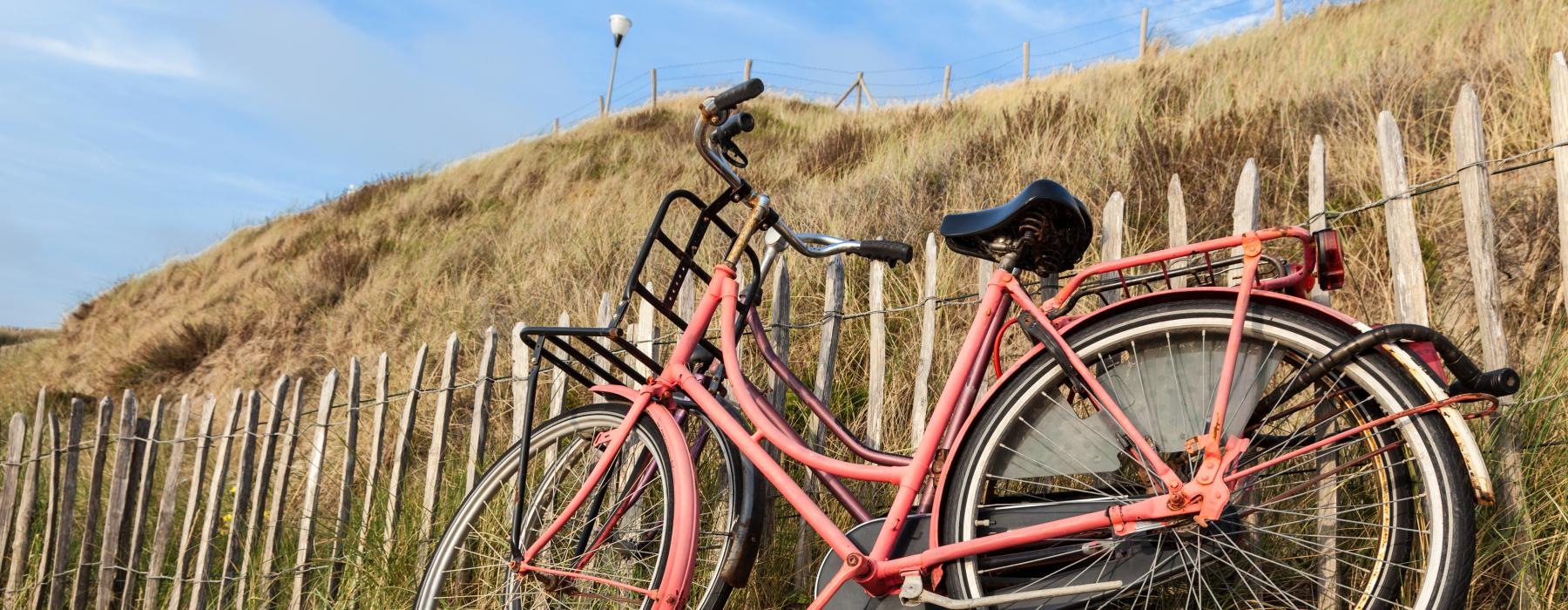 bicycles parked on a fence